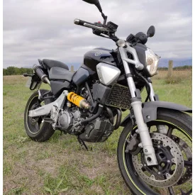 Special Carbon Roadsitalia Yamaha MT-03 2006-2014