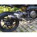 Thunder Carbon Roadsitalia Ducati Monster 821 2014-2016