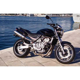 Ovale Titanium Roadsitalia Honda Hornet 600 1998-2002