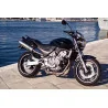 Ovale Titanium Roadsitalia Honda Hornet 600 1998-2002