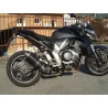 Short Carbon Roadsitalia Honda CB 1000 R 2008-2016