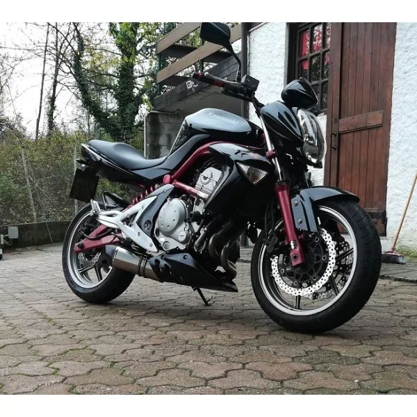 Special Titanium Roadsitalia Kawasaki Versys 650 2006-2011