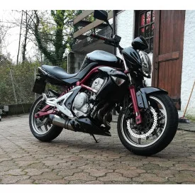 Special Titanium Roadsitalia Kawasaki ER6F 2005-2011