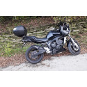 Special Carbon Roadsitalia Yamaha FZ6 S1-S2