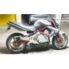 Special Titanium Black Roadsitalia Kawasaki ER6F 2005-2011