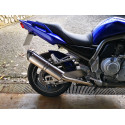 Special Titanium Roadsitalia Yamaha Fazer 1000