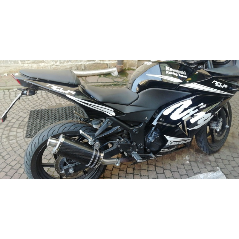 Skriv email tung Forberedende navn Exhaust for Kawasaki Ninja 250 Short Carbon