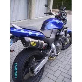 Special Carbon Roadsitalia Honda Hornet 600 1998-2002
