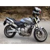 Special Titanium Roadsitalia Honda Hornet 600 2003-2006