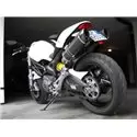 Special Carbon Roadsitalia Ducati Monster 696 796 1100