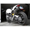 Special Carbon Roadsitalia Ducati Monster 696 796 1100