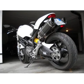 Special Carbon Roadsitalia Ducati Monster 696 796 1100