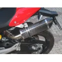 Special Carbon Roadsitalia Ducati Monster 696 796 1100