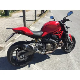 Special Carbon Roadsitalia Ducati Monster 821 2014-2016