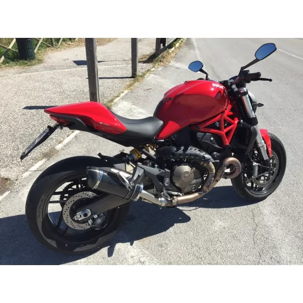 Special Carbon Roadsitalia Ducati Monster 821 2014-2016
