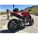 Special Carbon Roadsitalia Ducati Monster 821 2014-2016
