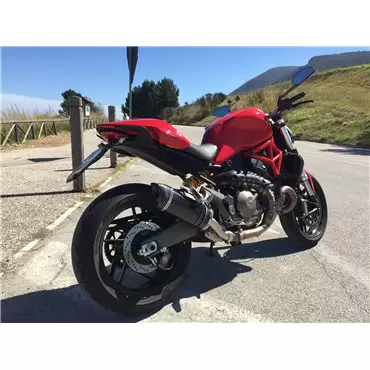 Special Carbon Roadsitalia Ducati Monster 821 2014-2016