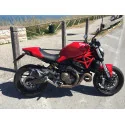 Special Carbon Roadsitalia Ducati Monster 821 2014-2016