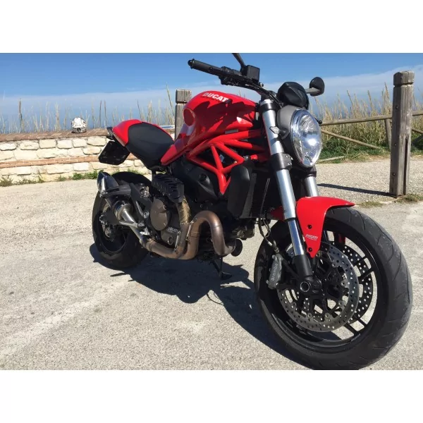 Special Carbon Roadsitalia Ducati Monster 821 2014-2016