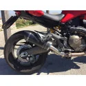 Special Carbon Roadsitalia Ducati Monster 821 2014-2016