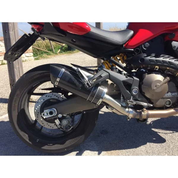 Special Carbon Roadsitalia Ducati Monster 821 2014-2016