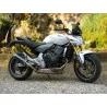 Special Carbon Roadsitalia Honda Hornet 600 2007-2015
