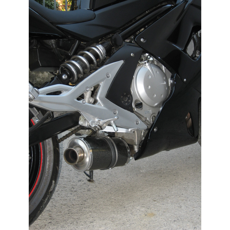 Sportauspuff fur Kawasaki ER6F 2005 2011 Short Carbon
