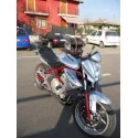 Special Carbon Roadsitalia Kawasaki ER6F 2005-2011