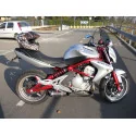 Special Carbon Roadsitalia Kawasaki ER6F 2005-2011