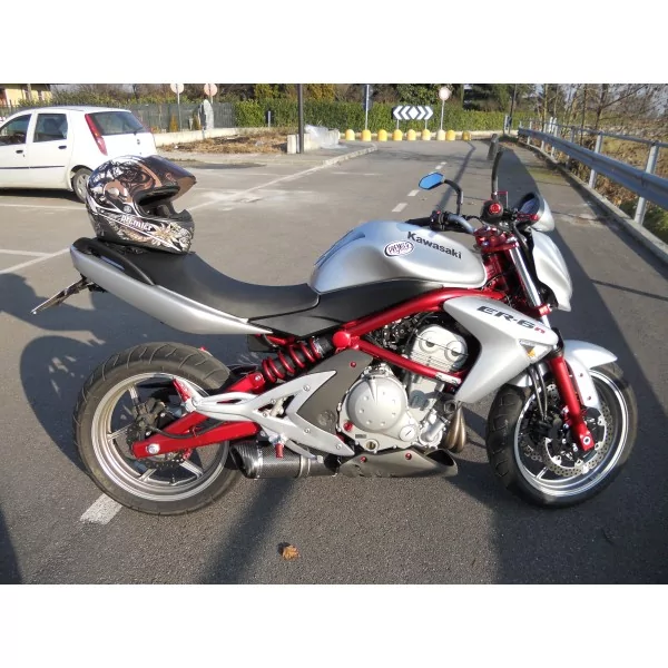 Special Carbon Roadsitalia Kawasaki ER6F 2005-2011