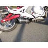 Special Carbon Roadsitalia Kawasaki ER6N 2005-2011