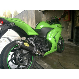 Scarico Omologato per Kawasaki Ninja 250 Short Carbon