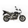 Special Carbon Roadsitalia Kawasaki Versys 1000 2012-2016