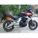 Special Titanium Roadsitalia Kawasaki Versys 650 2006-2011