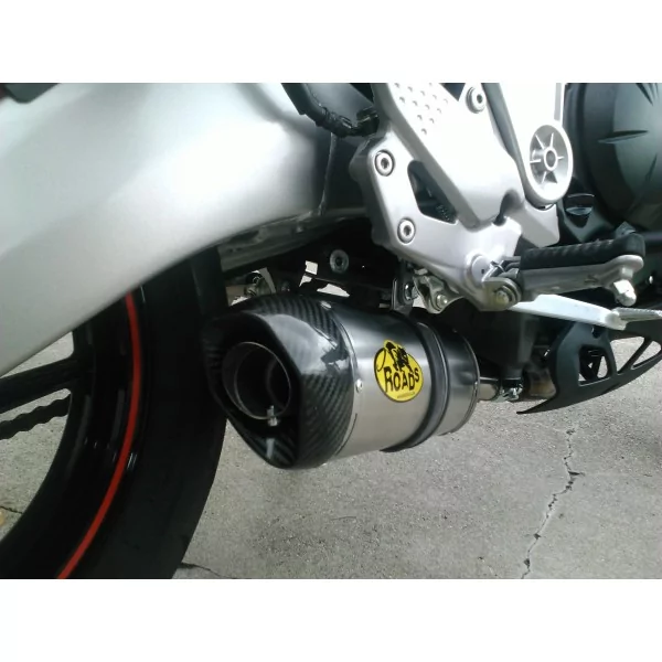 Special Titanium Roadsitalia Kawasaki Versys 650 2006-2011