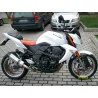 Special Titanium Roadsitalia Kawasaki Z 1000 (no SX) 2007-2009