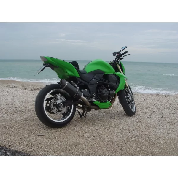 Special Carbon Roadsitalia Kawasaki Z1000 (no SX) 2007-2009