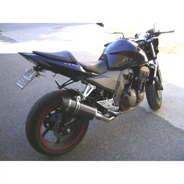 Special Carbon Roadsitalia Kawasaki Z750 2004-2006