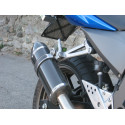 Special Carbon Roadsitalia Kawasaki Z 750 2004-2006