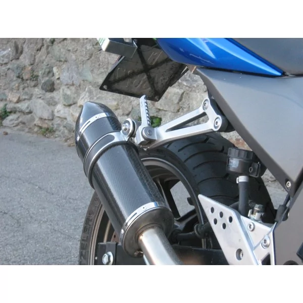 Special Carbon Roadsitalia Kawasaki Z750 2004-2006