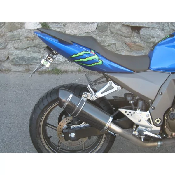 Special Carbon Roadsitalia Kawasaki Z750 2004-2006