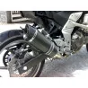 Special Carbon Roadsitalia Kawasaki Z 750 2007-2012