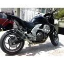 Special Carbon Roadsitalia Kawasaki Z 750 2007-2012