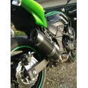 Special Carbon Roadsitalia Kawasaki Z 750 2007-2012