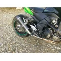 Special Carbon Roadsitalia Kawasaki Z 750 2007-2012