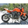 Special Carbon Roadsitalia Kawasaki Z 750 2007-2012