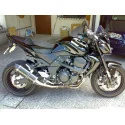 Special Carbon Roadsitalia Kawasaki Z 750 2007-2012