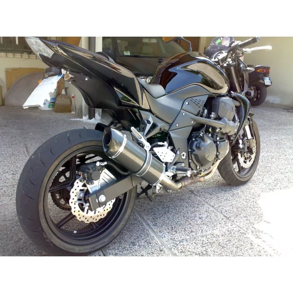 Special Carbon Roadsitalia Kawasaki Z750 2007-2012