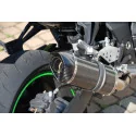 Special Carbon Roadsitalia Kawasaki Z 750 2007-2012