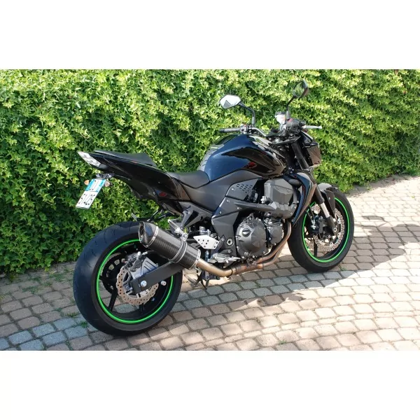 Special Carbon Roadsitalia Kawasaki Z750 2007-2012